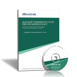 2024-2029年中国新能源汽车行业市场前瞻与投资战略规划分析报告